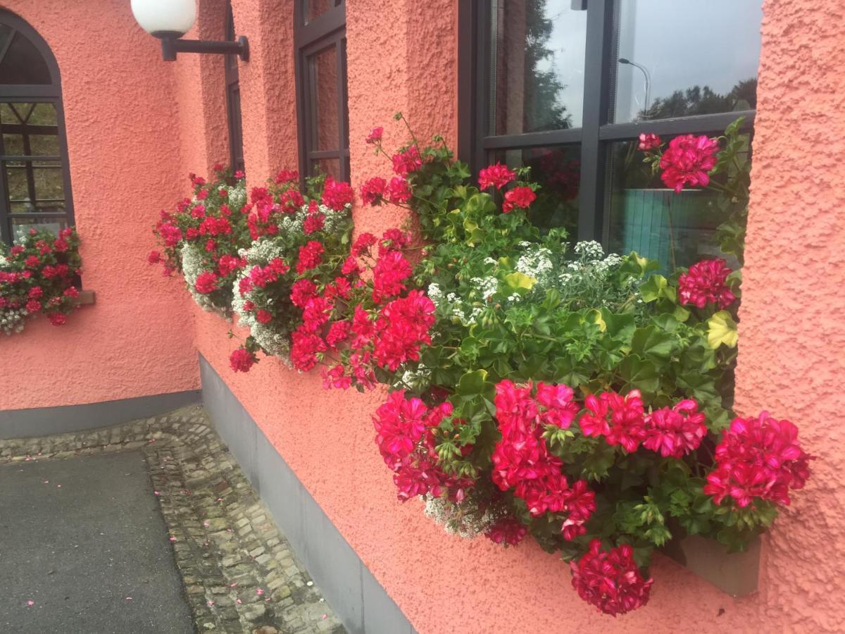Landhotel Am Wenzelbach Prüm المظهر الخارجي الصورة